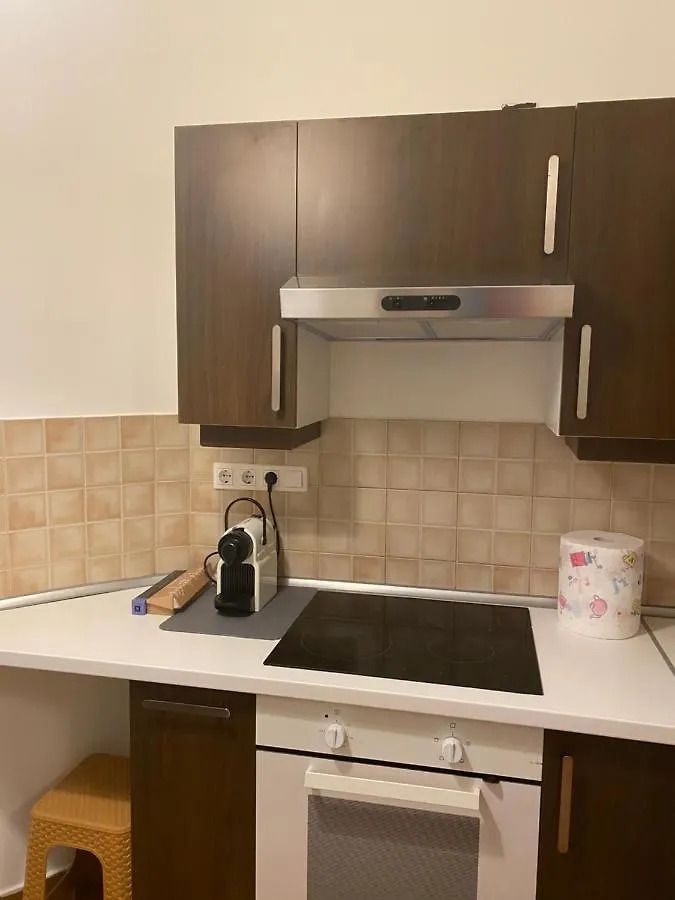 Blue Danube Apartment Downtown With Free Parking Budapest Ungheria